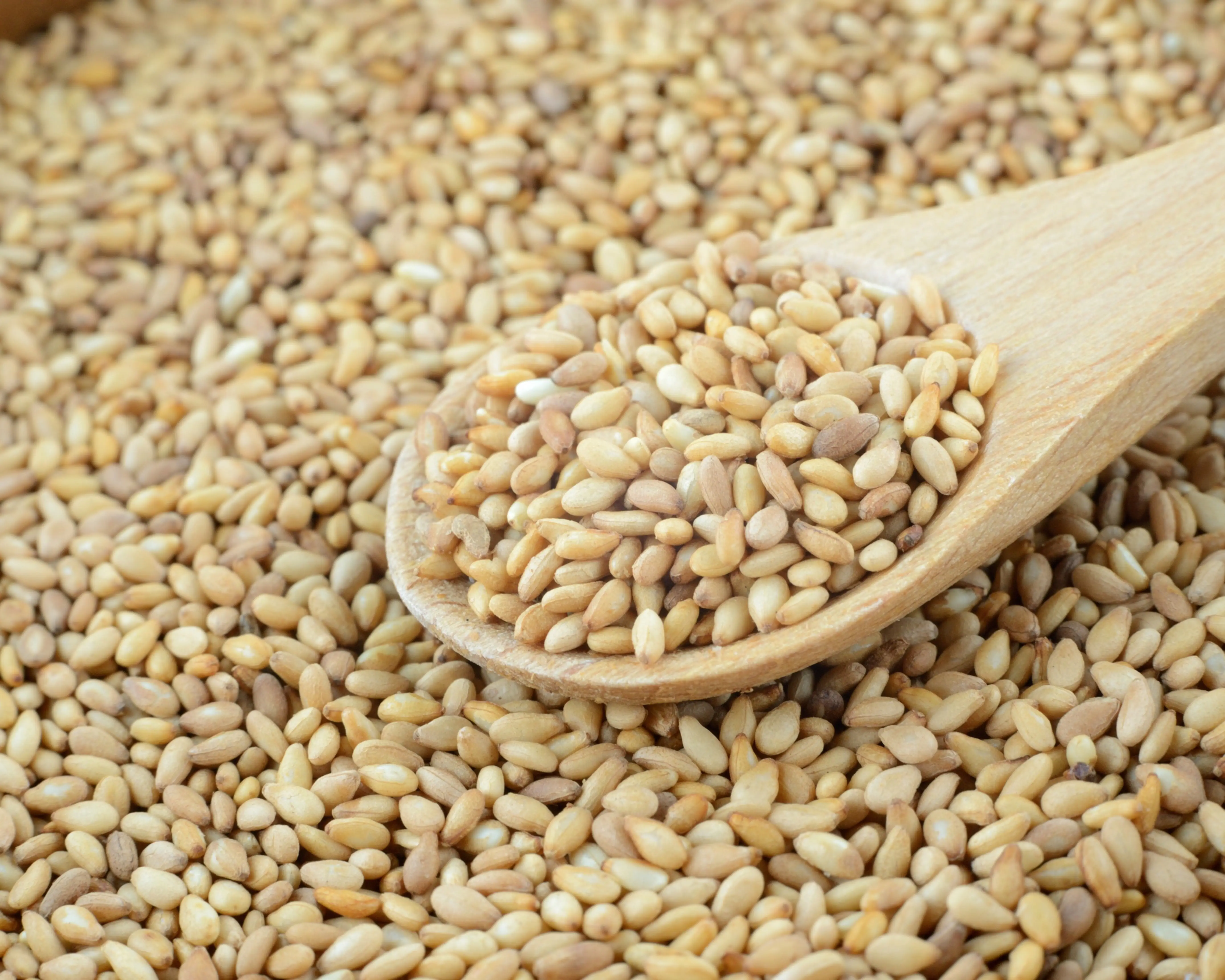 Legumes & Pulses