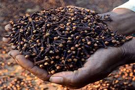 Zanzibar Cloves